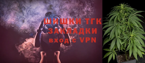ПСИЛОЦИБИНОВЫЕ ГРИБЫ Белокуриха
